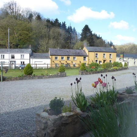 Neuadd Wen Guest House Carmarthen Eksteriør bilde
