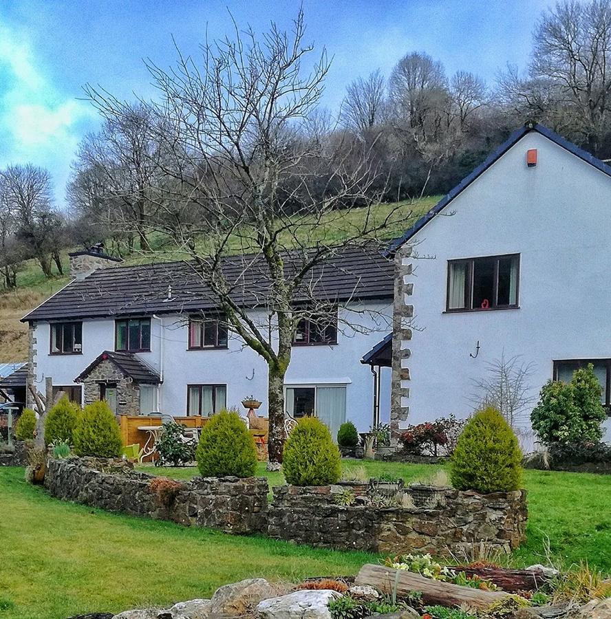Neuadd Wen Guest House Carmarthen Eksteriør bilde
