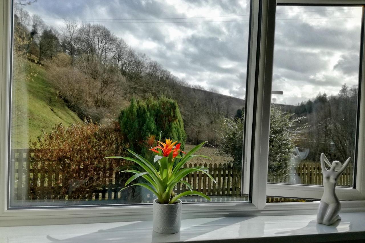 Neuadd Wen Guest House Carmarthen Eksteriør bilde